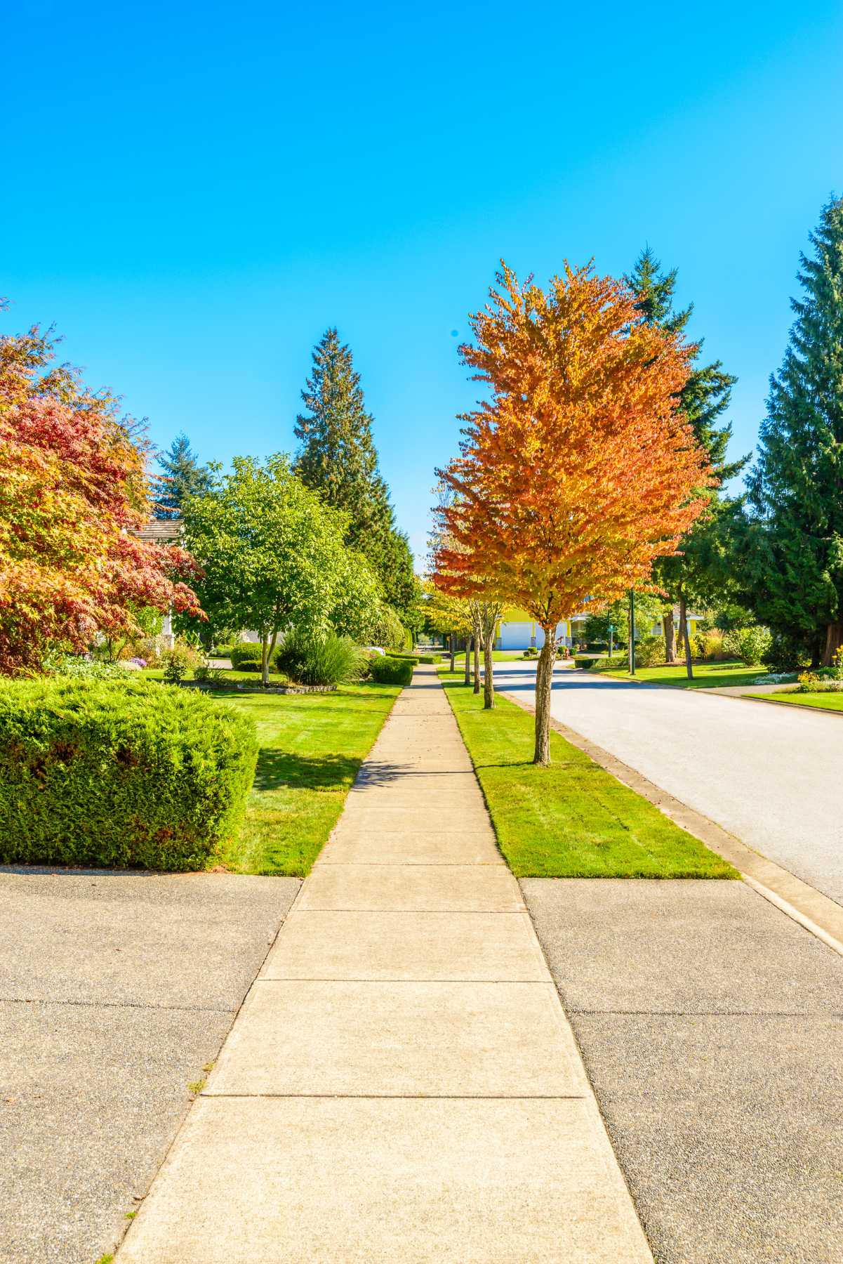 Leveling Sidewalks - Why DIY May Not Be Enough